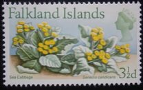 [Flowers, tegund CR]