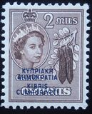 [Stamps of 1955 Overprinted, type BT]