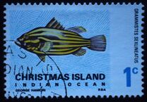 [Fish, type M]