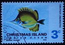 [Fish, type O]
