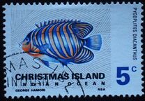 [Fish, type Q]