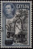 [No. 246 & 249 Surcharged, type BS1]