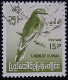 [Burmese Birds, tyyppi DJ2]