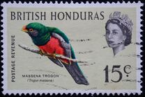 [Pájaros., tipo BY]