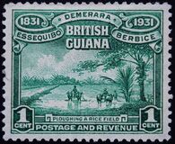 [The 100th Anniversary of the Union of Districts Demerara, Berbice and Essequibo with British Guiana, тып AD]
