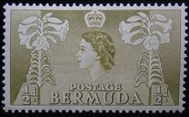 [Local Motives and Queen Elizabeth II, Typ AX]