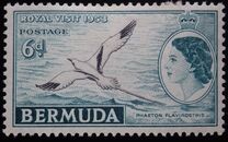 [Royal Visit - As White-tailed Tropicbird but Inscribed "ROYAL VISIT 1953", type BO]