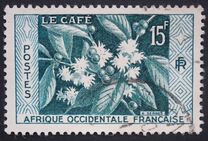 [Coffee Bush, type BH]