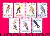 [Birds - New Values, type AO]