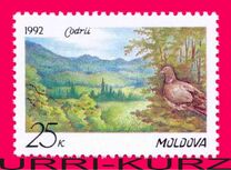 [Codri Nature Reserve, type C]