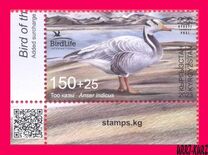 [Bird of the Year - The Bar-headed Goose, тип AWA]