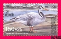 [Bird of the Year - The Bar-headed Goose, тип AWA]