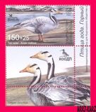 [Bird of the Year - The Bar-headed Goose, тип AWA]
