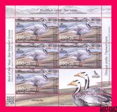 [Bird of the Year - The Bar-headed Goose, тип AWA]