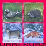 [Fauna of the Moldova, Вид AAH]