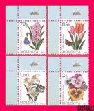 [Flowers, סוג ZZ]