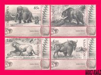 [Prehistoric Animals, tip YT]