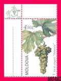 [Flora - Grapes, 类型 YQ]