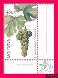 [Flora - Grapes, 类型 YQ]