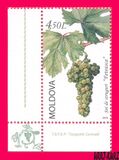 [Flora - Grapes, 类型 YQ]