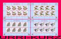 [Birds, type XY]