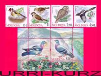 [Birds, प्रकार XY]