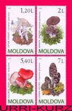 [Mushrooms, type XU]