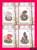 [Mushrooms, type XU]