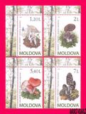 [Mushrooms, 类型 XU]