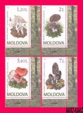 [Mushrooms, 类型 XU]