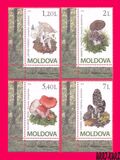 [Mushrooms, 类型 XU]
