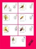 [Birds - New Values, type AO]