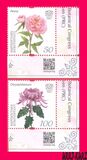 [Flowers - The 19th International Botanical Congress, Shenzhen, typ AIB]