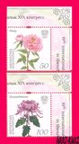 [Flowers - The 19th International Botanical Congress, Shenzhen, typ AIB]