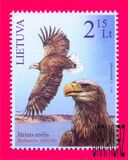 [The Red Book of Lithuania. White-Tailed Sea Eagle, type ABC]