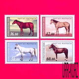 [Horses - Picture Size: 36 x 24mm, タイプ XTK1]