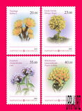 [Flora - Medicinal Plants, type ABA]
