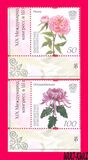 [Flowers - The 19th International Botanical Congress, Shenzhen, typ AIB]