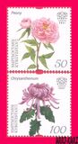 [Flowers - The 19th International Botanical Congress, Shenzhen, typ AIB]