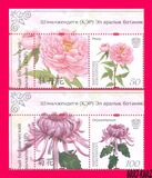 [Flowers - The 19th International Botanical Congress, Shenzhen, typ AIB]