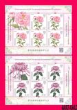 [Flowers - The 19th International Botanical Congress, Shenzhen, typ AIB]