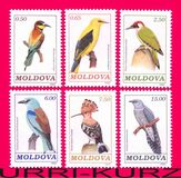 [Birds, 类型 F]