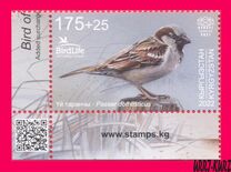 [Bird of the Year - The House Sparrow, тып ATQ]