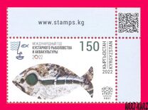 [International Year of Artisanal Fisheries and Aquaculture, 유형 AUD]