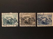 [Rembrandt, type BU]