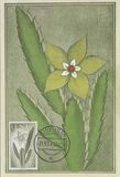 [Flora & Fauna, प्रकार AC]