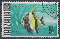 [Marine Life - Fish, tip AD]