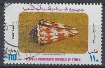 [Marine Snails, type FB]