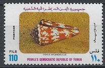 [Marine Snails, type FB]