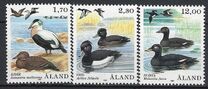 [Birds - Ducks, tegund O]